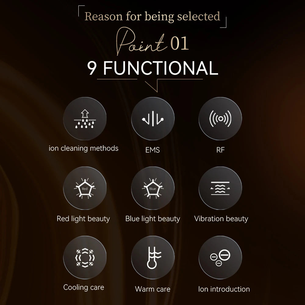 ANLAN Multifunction Skincare Device Pro 18K Gold