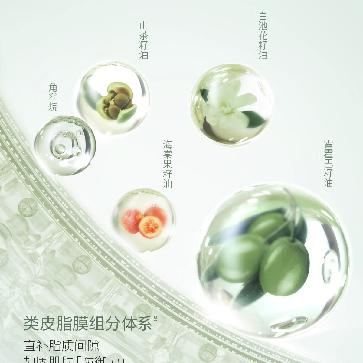 Timage Glow Revival Double Essence Mist