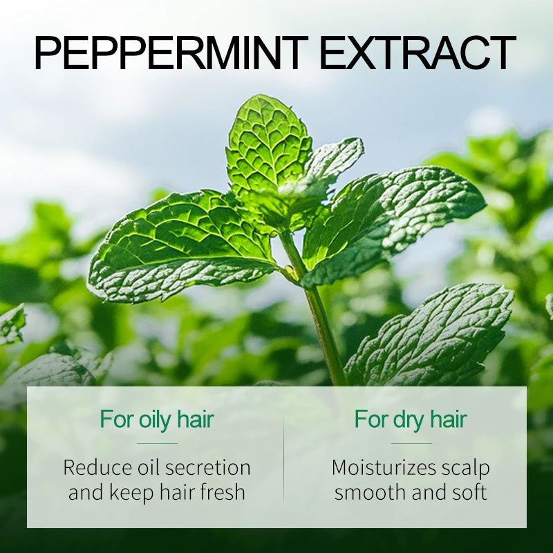 VETES Shampoo Pulizia Profonda e Sollievo dal Prurito 260ml