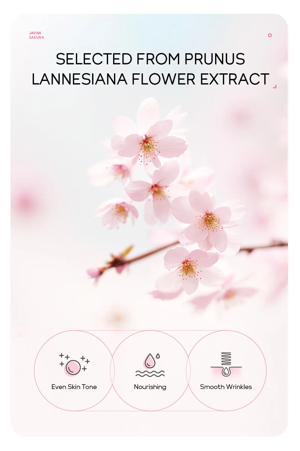 LAIKOU Sakura Peeling Face Mask