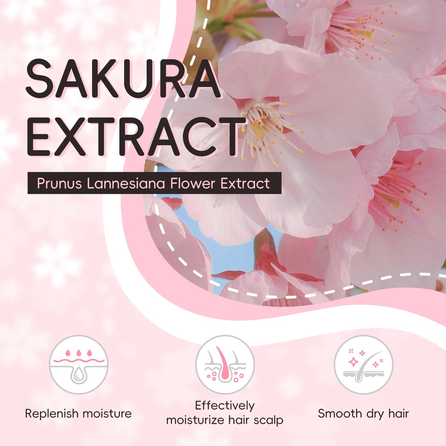 LAIKOU Japan Sakura Shampoo – Repair & Smooth