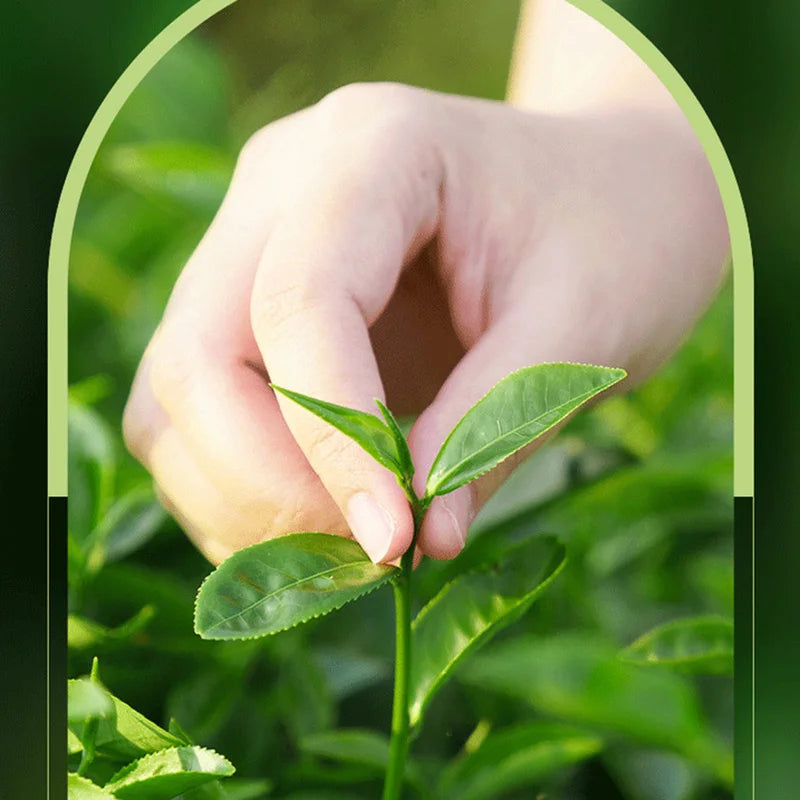 SADOER Crema Viso al Tea Tree Anti-Acne 50g