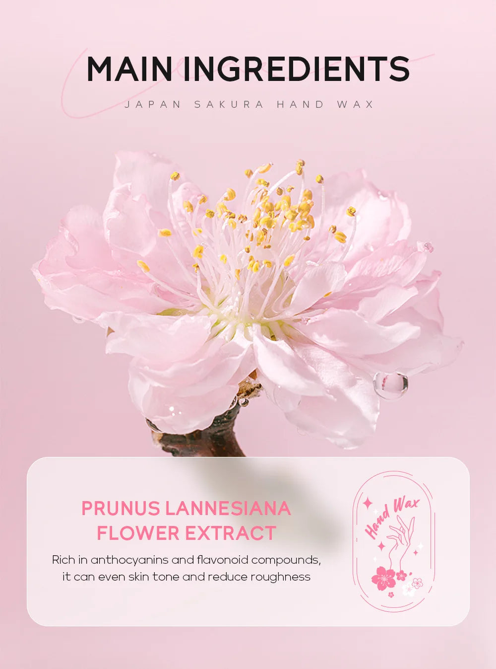 LAIKOU Sakura Hand Wax – Soften & Brighten